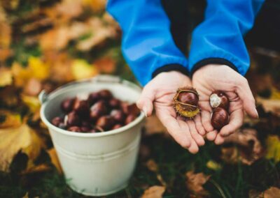 Châtaignes – Photo par Markus Spiske – Via Unsplash