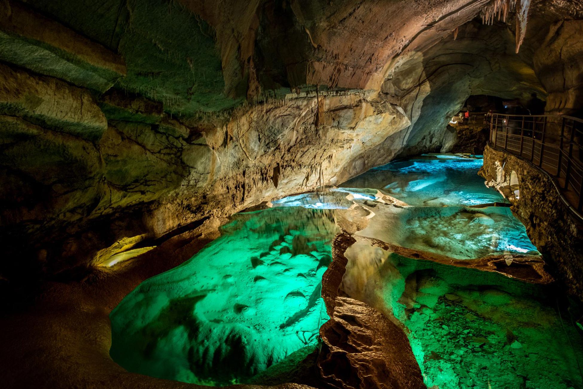cocaliere Grotte de la Salamandre – Photo de La Grotte de la Salamandre – Domaine public – via Wikimedia Commons