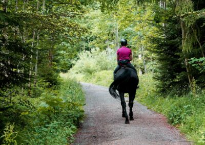 Équitation – Photo par Beth Macdonald – Via Unsplash