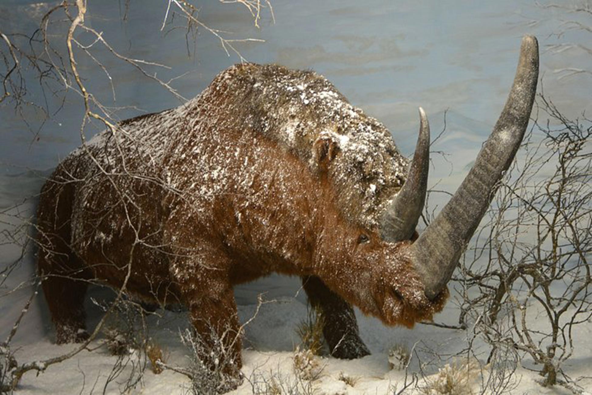 prehistorama Pont des Camisards à Mialet – Photo de Daniel Villafruela – CC BY-SA 3.0 – via Wikimedia Commons